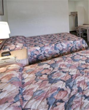 American Eagle Inn Fayetteville Phòng bức ảnh